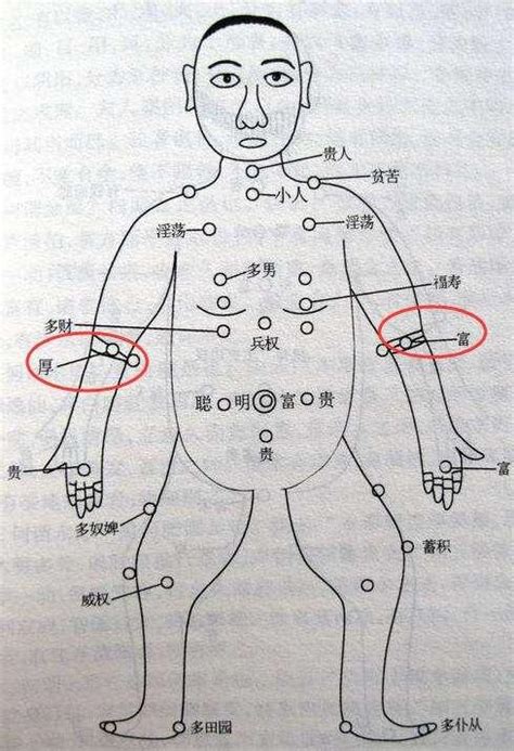 手臂上有痣|痣的位置与命运：手臂上有痣代表什么寓意